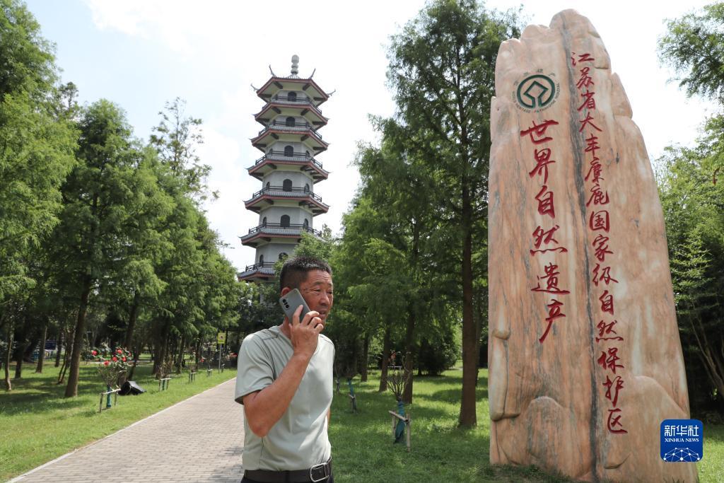 小美斗地主官网